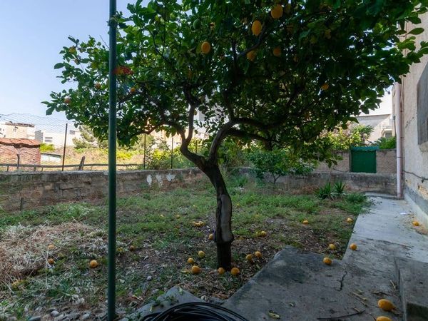 Casa Indipendente Ficarazzi, PA Vendita - Foto 2