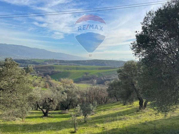 Terreno Marinello, Cervicati, CS Vendita - Foto 3