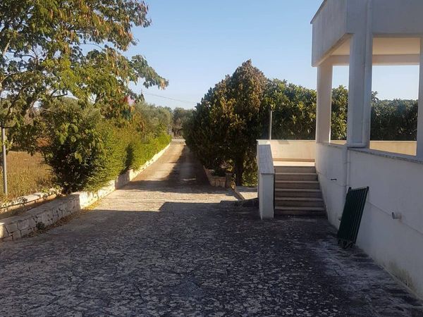 Villa singola Ostuni, BR Vendita - Foto 3
