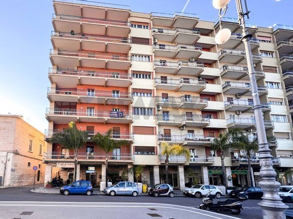 Appartamento Bisceglie, BT Vendita - Foto 3