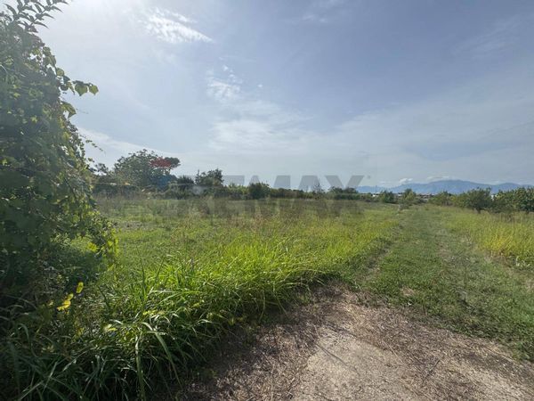 Terreno Cellole, CE Vendita - Foto 2