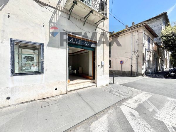 Appartamento Manziana, RM Vendita
