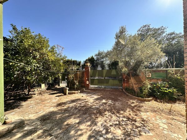 Villa singola Torvaianica Alta, Pomezia, RM Vendita - Foto 4