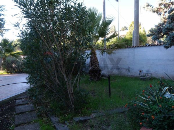 Villa singola Pedara, CT Vendita - Foto 4