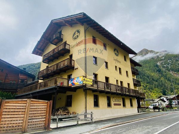Albergo/Hotel Gressoney-Saint-Jean, AO Vendita - Foto 4