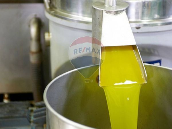 Terreno Marginone, Altopascio, LU Vendita - Foto 4