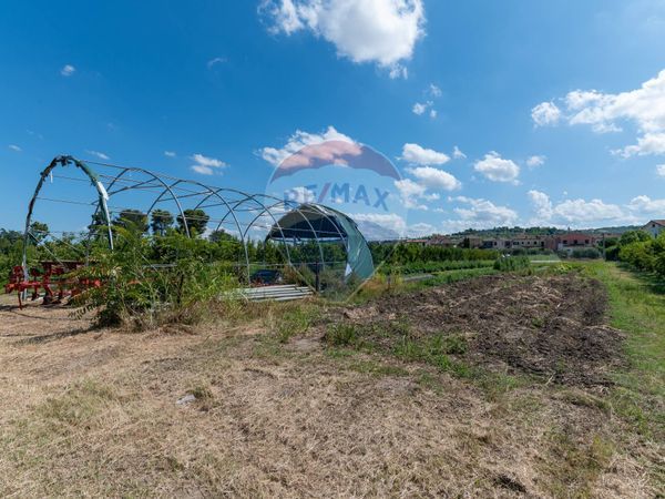 Cascina/Casale Pianello Vallesina, Monte Roberto, AN Vendita - Foto 2
