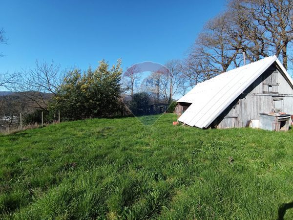 Casa Semindipendente Altare, SV Vendita - Foto 4