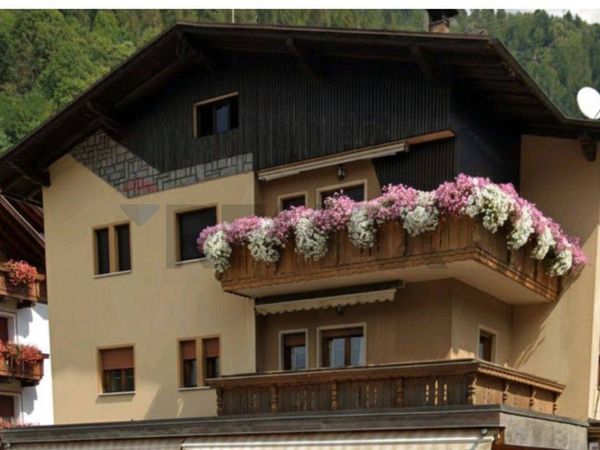 Appartamento Mezzana, TN Vendita