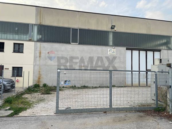 Capannone Industriale Scorcelletti, Castelbellino, AN Affitto