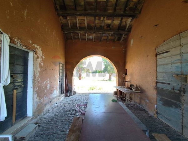 Cascina/Casale S. Palomba, Pomezia, RM Vendita - Foto 4