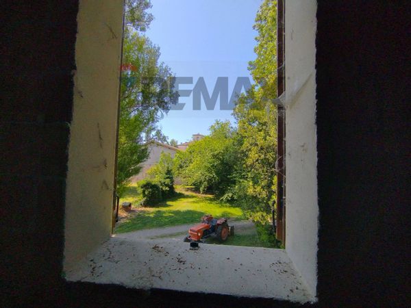 Casa Indipendente Medolla, MO Vendita - Foto 4