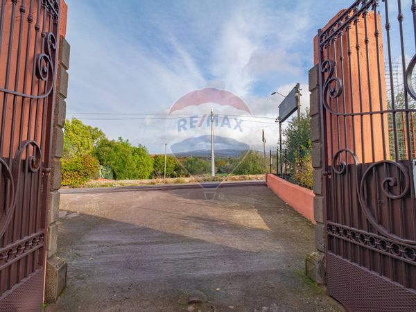 Ristorante Ragalna, CT Affitto - Foto 2