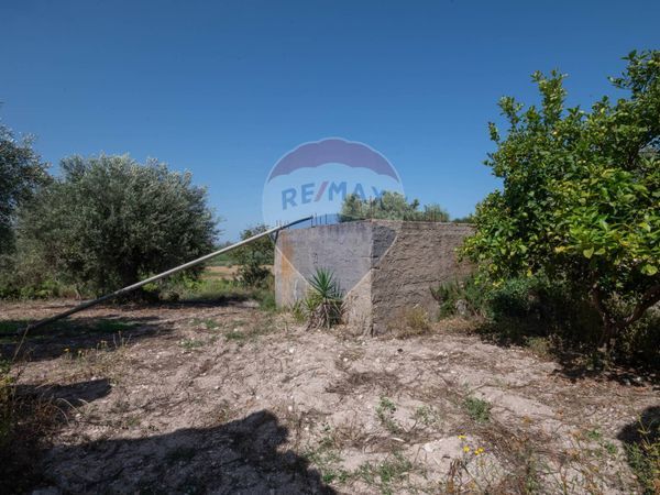 Cascina/Casale Noto, SR Vendita - Foto 4