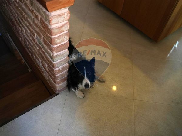 Casa Semindipendente Vinchiaturo, CB Vendita