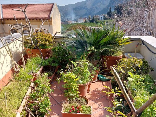 Appartamento Villagrazia, Palermo, PA Vendita - Foto 3