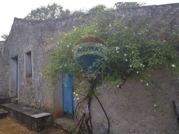 Villa singola Gratteri, PA Vendita - Foto 2