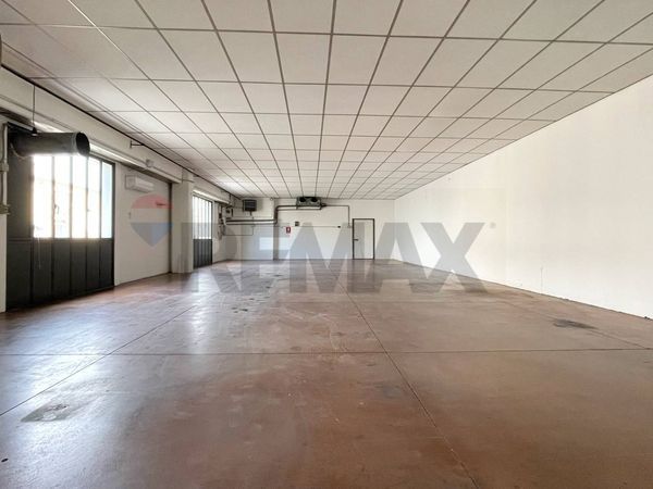 Capannone Industriale Capriccio, Vigonza, PD Vendita - Foto 4