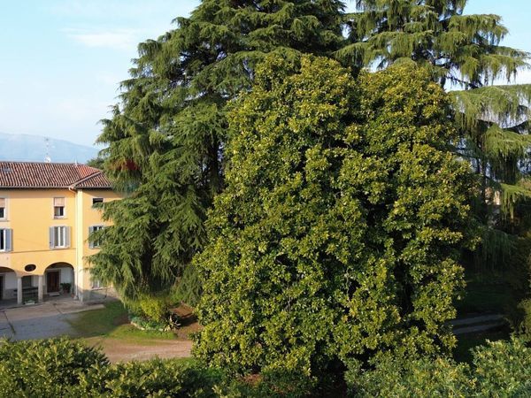 Appartamento Terno d'Isola, BG Vendita