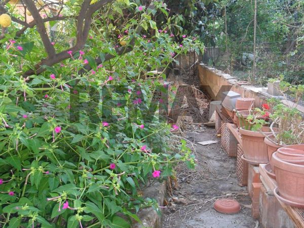 Casa Indipendente Pietraperzia, EN Vendita - Foto 4