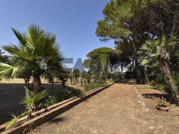 Cascina/Casale Castanea Massa Tono Ortoliuzzo, Messina, ME Vendita - Foto 3