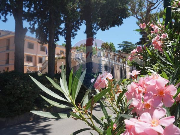 Albergo/Hotel Vermicino, Frascati, RM Vendita - Foto 4