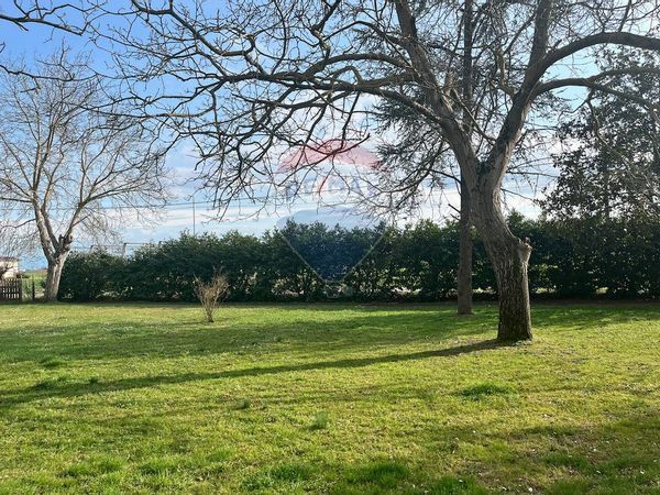 Villa singola Francolino, Ferrara, FE Vendita - Foto 4