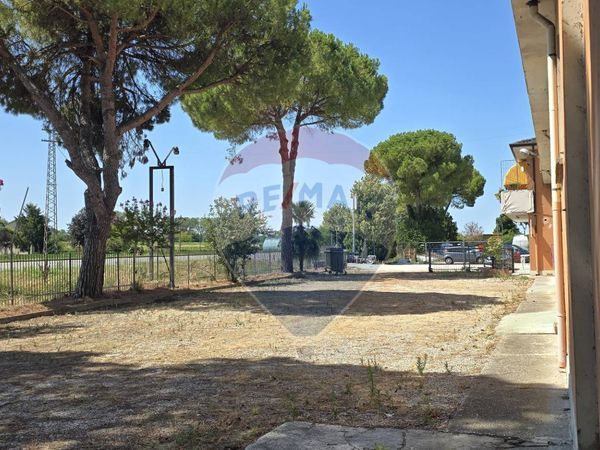 Capannone Industriale Santa Maria Maddalena, Occhiobello, RO Affitto - Foto 2