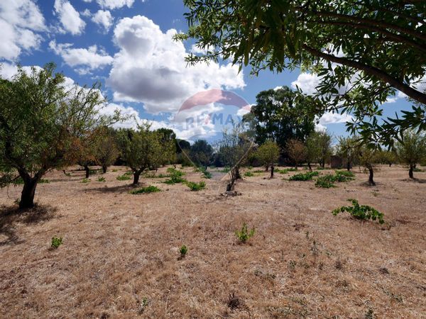 Baita/Chalet/Trullo Ostuni, BR Vendita - Foto 4