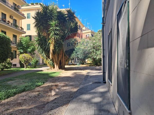 Appartamento Parioli, Roma, RM Affitto - Foto 4