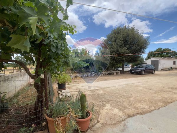 Cascina/Casale Santeramo in Colle, BA Vendita - Foto 4