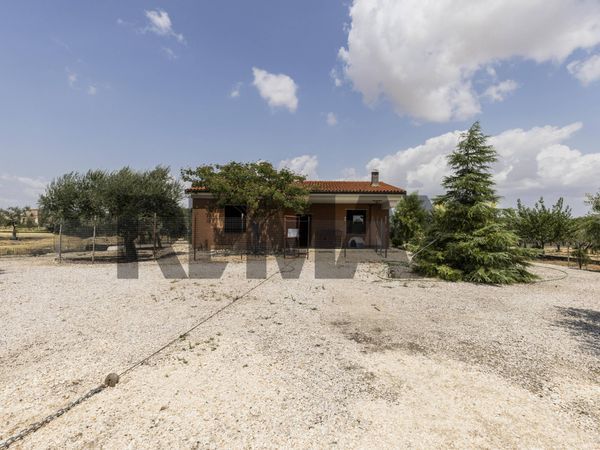 Villa singola Troia, FG Vendita