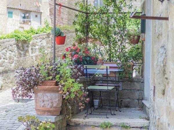 Appartamento Farnese, VT Vendita - Foto 3