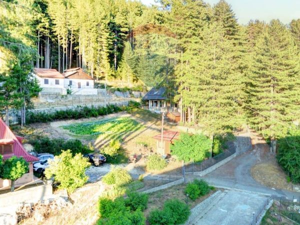 Multiproprietà Lorica, San Giovanni in Fiore, CS Vendita - Foto 3