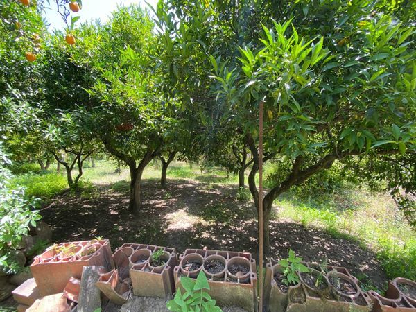 Casa Indipendente Gualtieri Sicaminò, ME Vendita - Foto 4