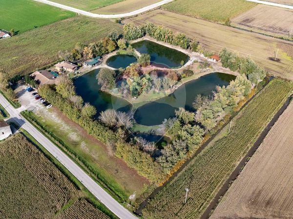 Attività  Commerciale Castel Goffredo, MN Vendita