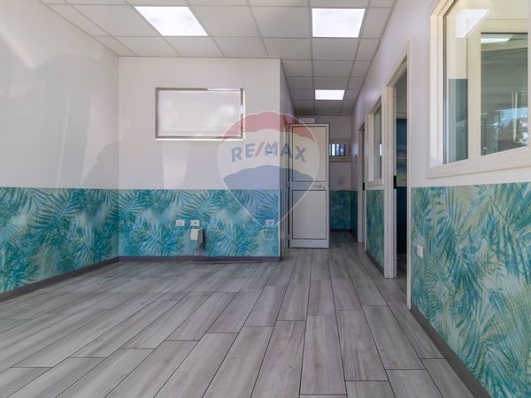 Commerciale Altro Borghesiana, Roma, RM Affitto