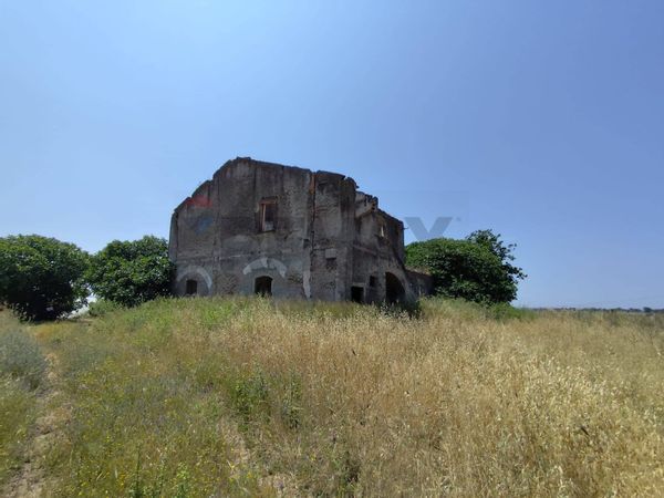 Cascina/Casale S. Palomba, Pomezia, RM Vendita - Foto 3