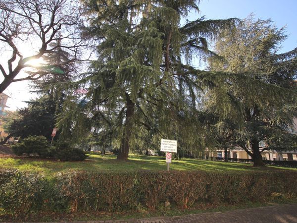 Ufficio Zona Ring Sud/Ovest, Brescia, BS Affitto - Foto 3