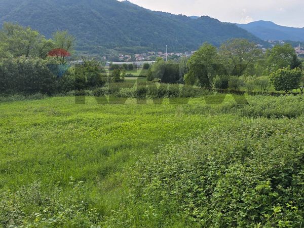 Terreno Brivio, LC Vendita - Foto 4