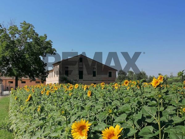 Casa Indipendente Mazzangrugno, Jesi, AN Vendita - Foto 3