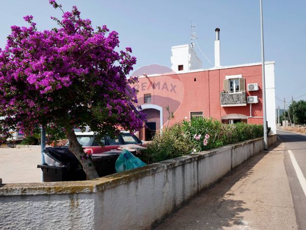 Cascina/Casale Monopoli, BA Vendita - Foto 2