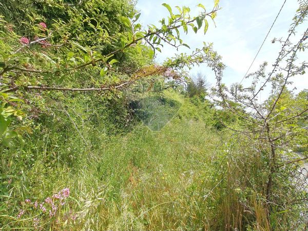 Casa Semindipendente Pornassio, IM Vendita - Foto 2