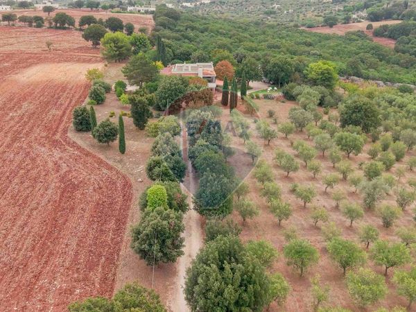 Villa o villino Monopoli, BA Vendita - Foto 3