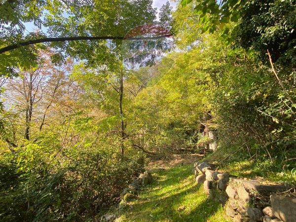 Rustico Gordona, SO Vendita - Foto 4