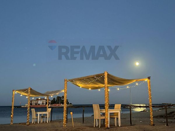 Ristorante Marzamemi, Pachino, SR Affitto - Foto 2