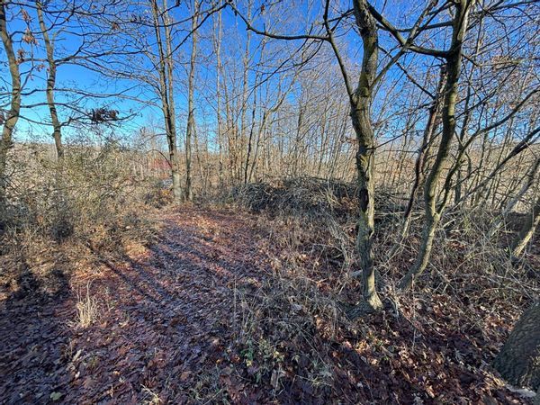 Terreno Montezemolo, CN Vendita - Foto 2
