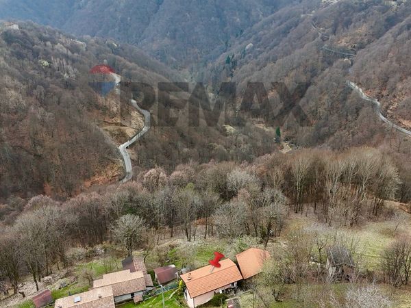 Baita/Chalet/Trullo Crevegno, San Nazzaro Val Cavargna, CO Vendita