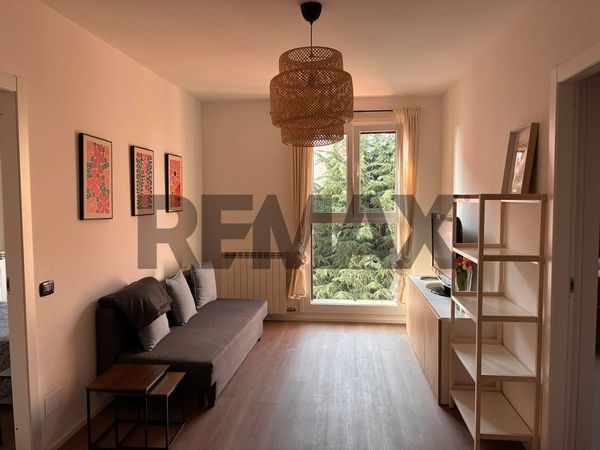 Appartamento Buon Gesù, Olgiate Olona, VA Affitto - Foto 4