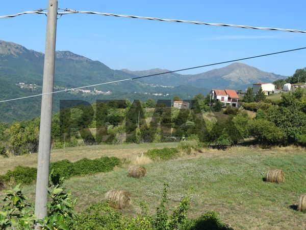 Cascina/Casale Carro, SP Vendita - Foto 3